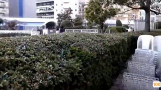 日本无码女同av下载➕亚洲一区二区三区无毒